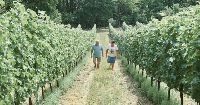 Weingut Mariell, Burgenland, Austria
