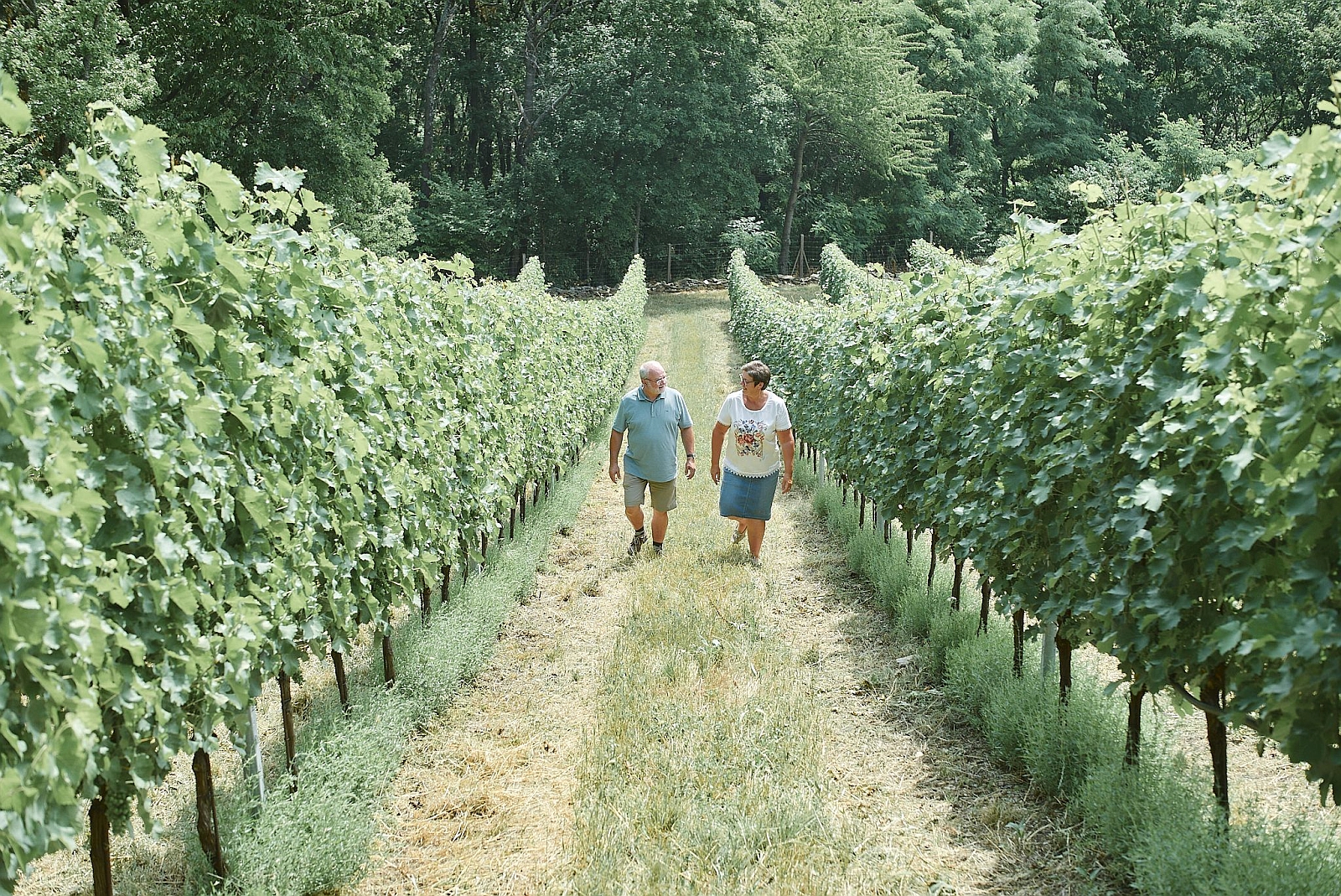 Weingut Mariell, Burgenland, Austria