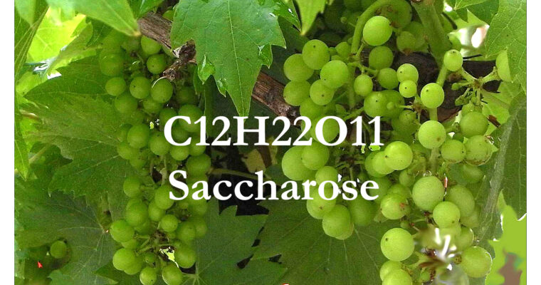 Weinwissen: Zuckergehalt