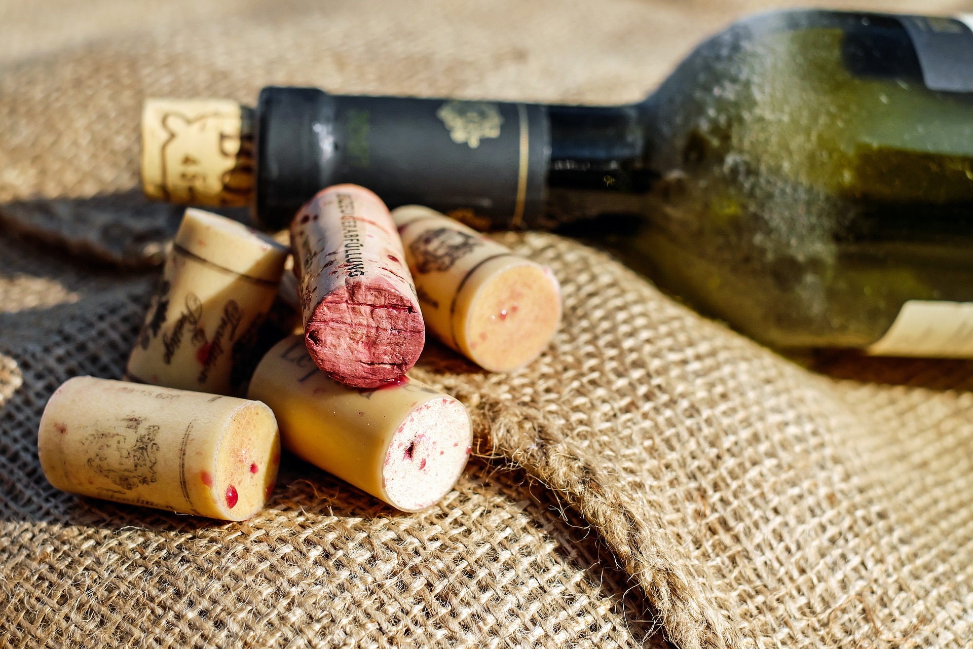 Weinwissen: „Korkt er oder korkt er nicht?