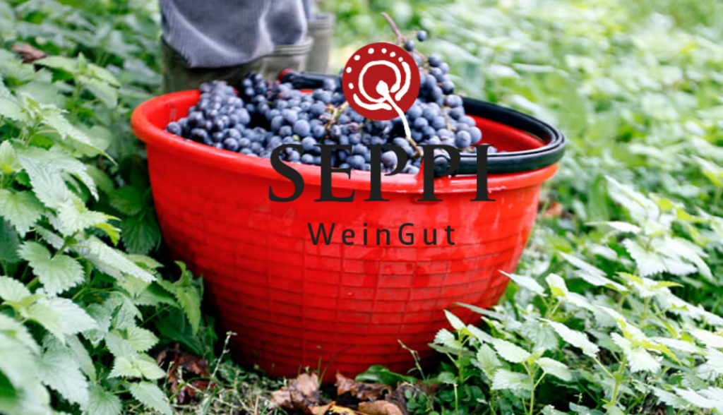 Weinlese in den Weinbergen des WeinGuts Seppi in Kaltern, Südtirol