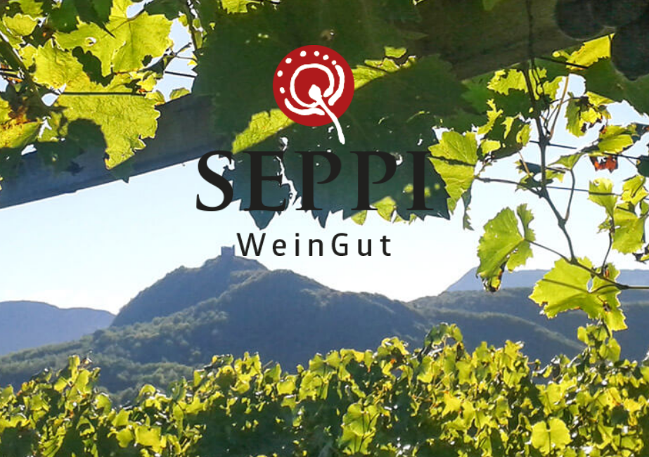 Blick durch die Weinberge vom WeinGut Seppi