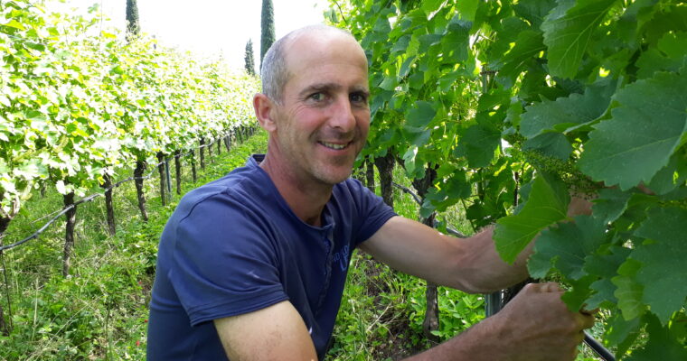 Bio-WeinGut Seppi, Südtirol