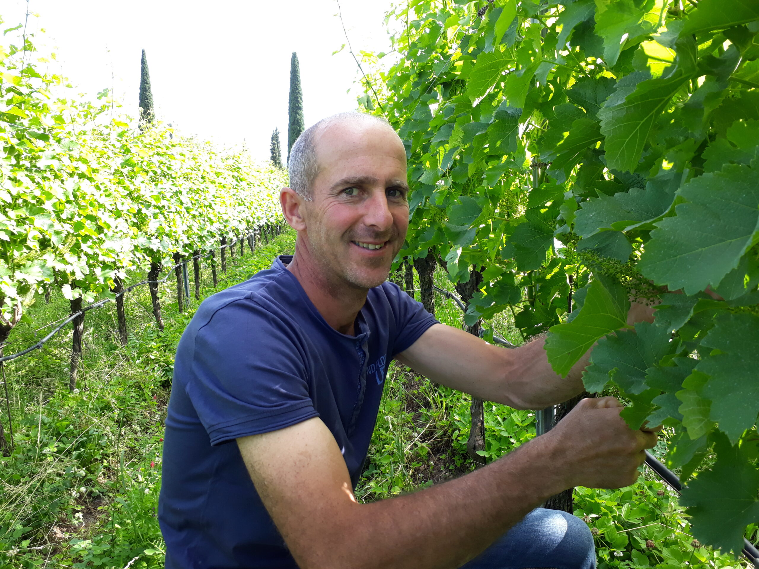 Bio-WeinGut Seppi, Südtirol