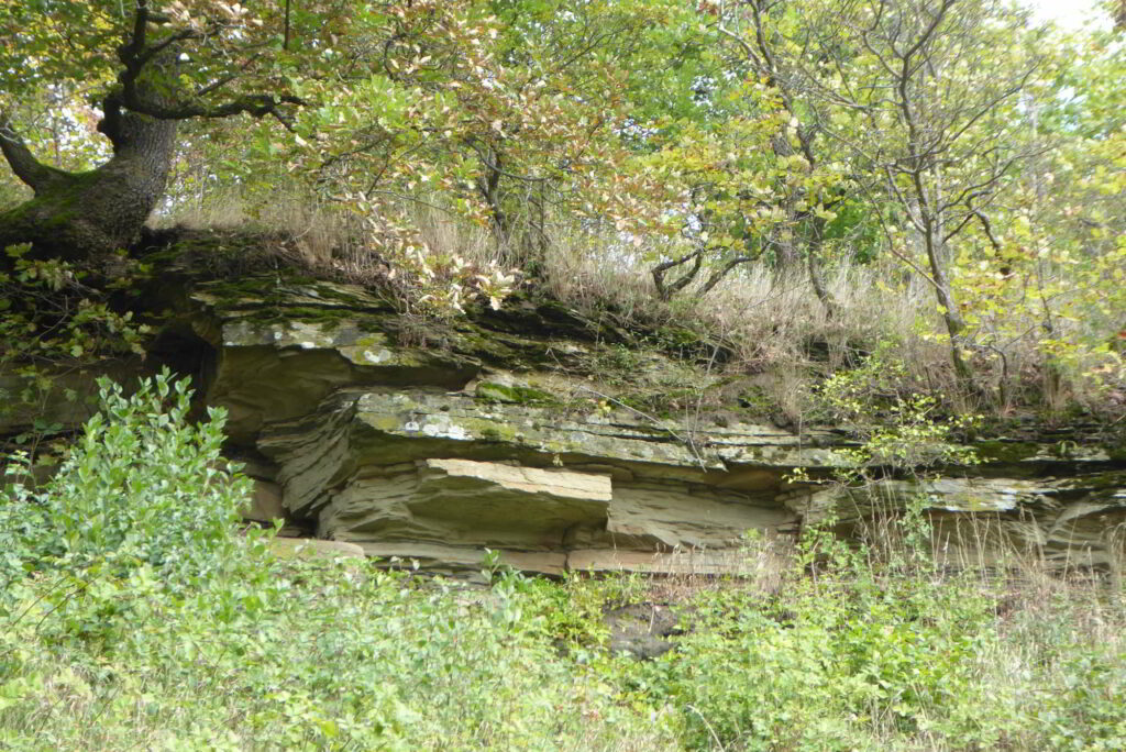 Gipskeuper oberhalb des Iphöfer Kronsberg