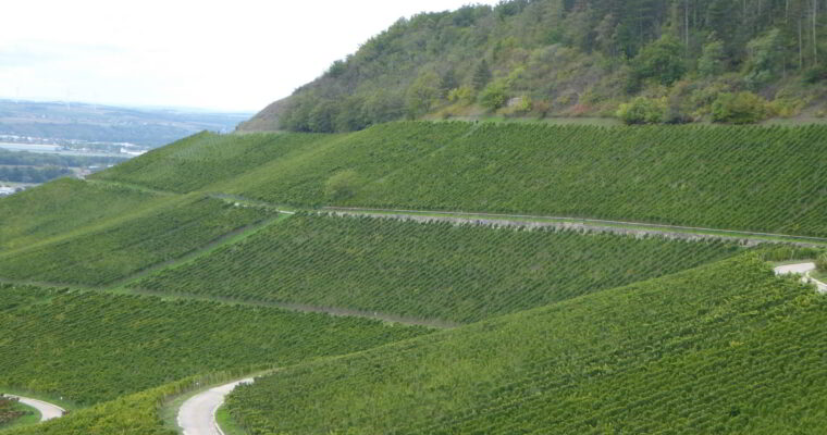 Wein-Region Franken
