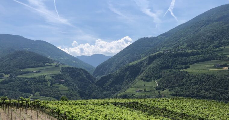 Wein-Region Südtirol
