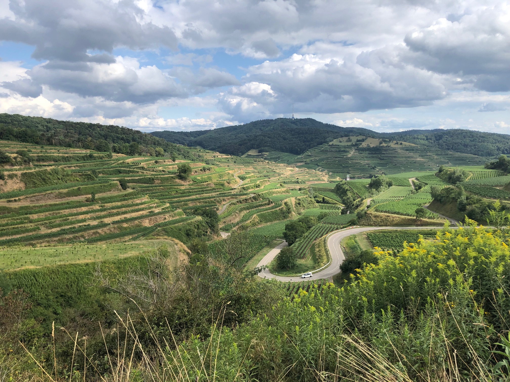 WEIN-REGION BADEN – DER KAISERSTUHL